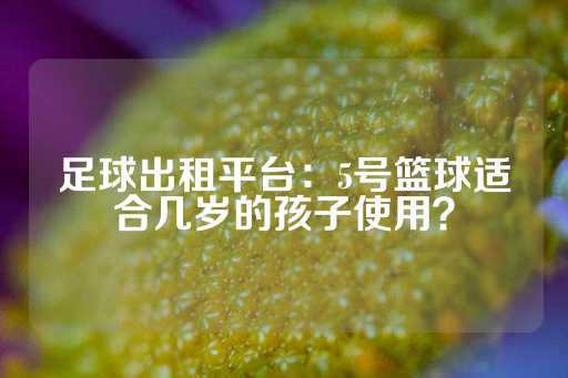 足球出租平台：5号篮球适合几岁的孩子使用？