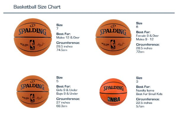 篮球规格尺寸全介绍-第3张图片-www.211178.com_果博福布斯